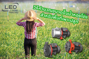 Centrifugal Pump Sizing for Irrigation: How to Calculate Flow Rate and Total Head