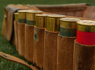 Hunting Cartridges