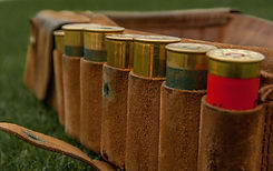 Hunting Cartridges