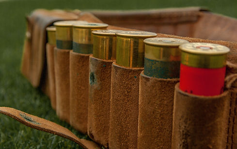 Hunting Cartridges