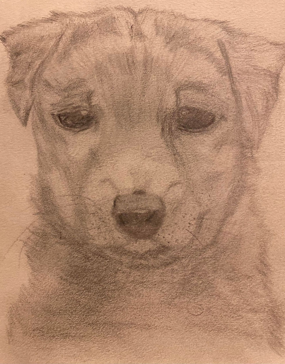 The Puppy