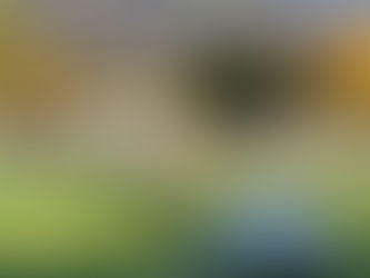 Les Jets passent tout près de la sensation finale