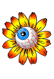 IMG_0268_edited.png