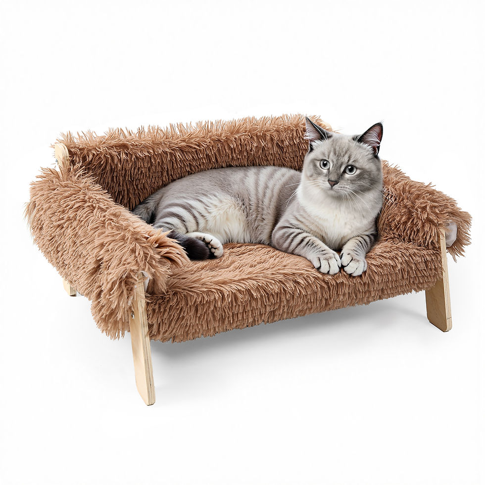 Thumbnail: Luna Sofa Bed