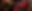 TOPイメージ.png