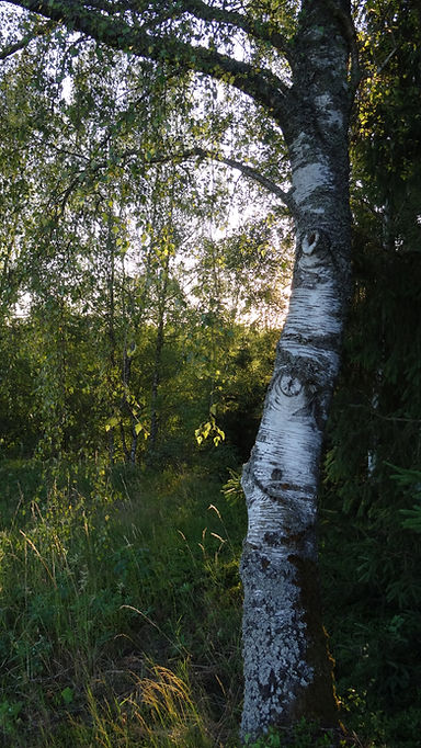 DSC06908.JPG