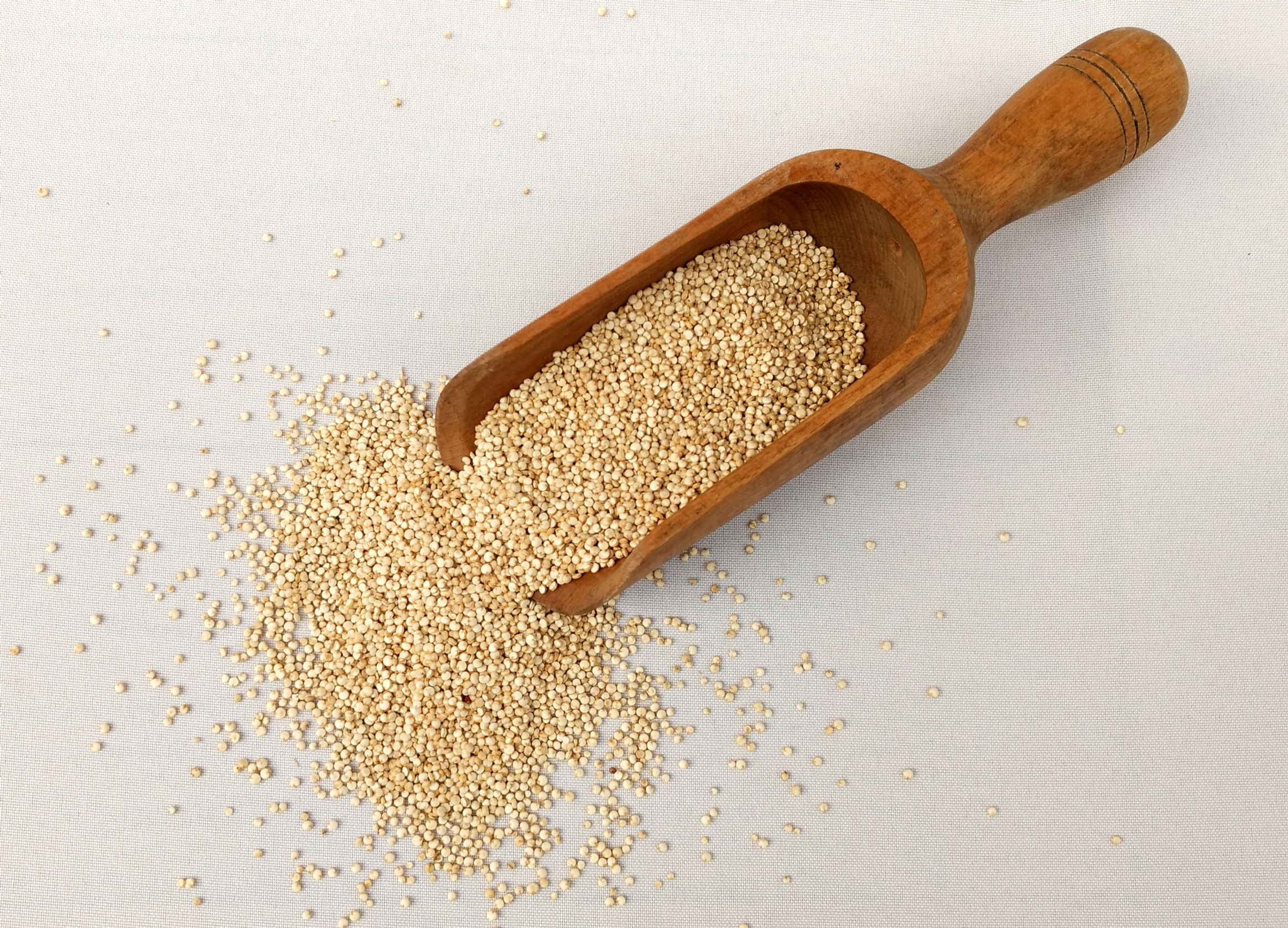 QUINOA REAL x 250 grs.