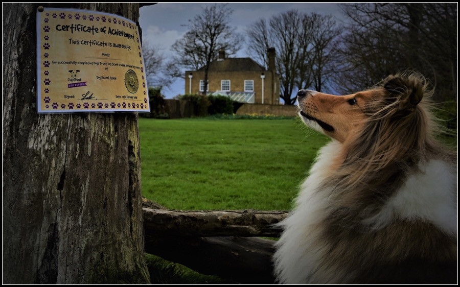 Proud Monty