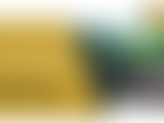 The Sustainability Champion Award: For Agriculture That Endures