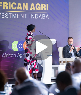 Pink Black Elegant Rectangle Border Photography Business Card (6).png