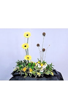 line modern_edited.jpg