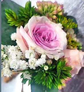 Screenshot 2024-04-08 204146_edited_edit