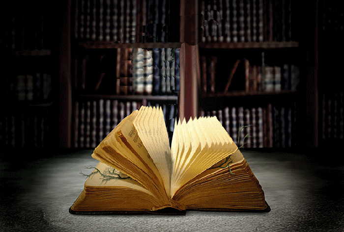libro-magia-gifmaniacos.es-6.gif