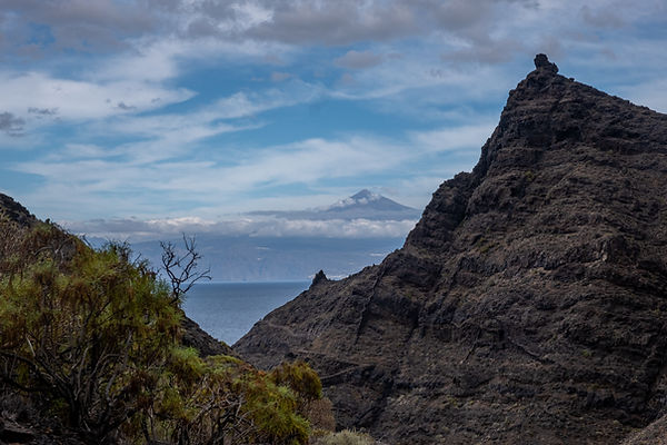20211110-_DSF9602-HDR.jpg