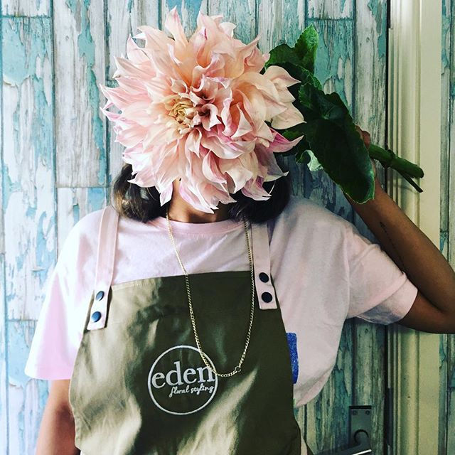 Thumbnail: The Florists Choice