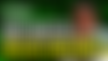 Success breeds contempt