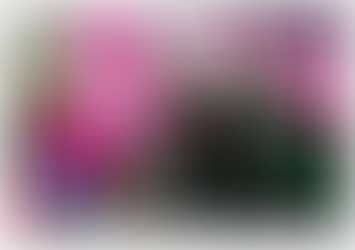 Rally for reproductive rights set for Saturday in Edwards