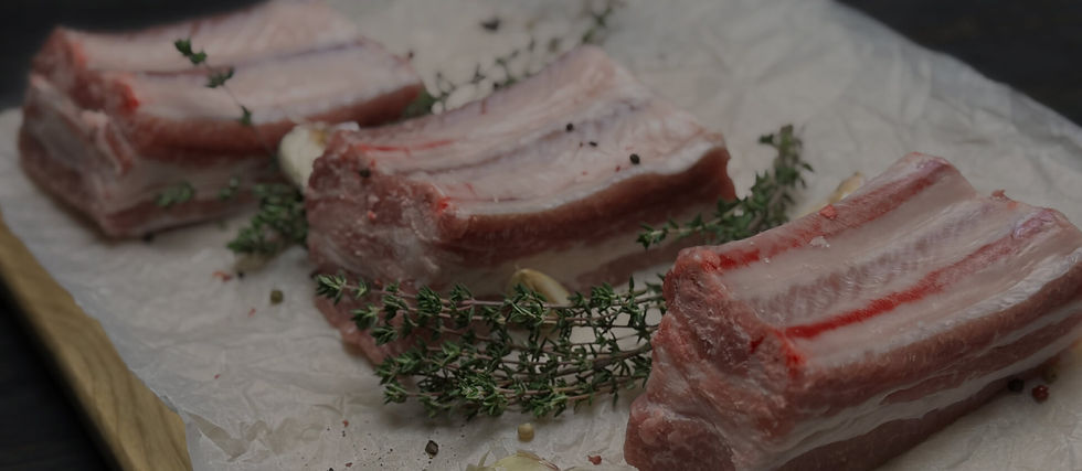 IMG_5186.JPG (1).jpg