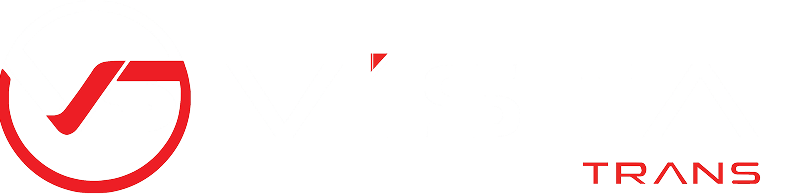 VISTA LOGO WHITE 1.png