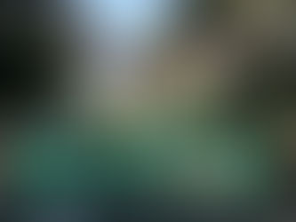 CONCURS DE MÈRITS D’ESTABILITZACIÓ