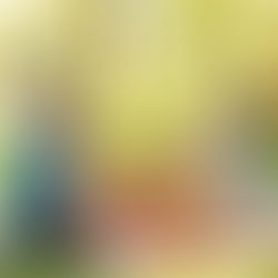 Eine Familie genießt ein fröhliches Picknick im Park bei sonnigem Wetter. Die Kinder lachen und spielen, während die Eltern entspannt auf einer Decke sitzen und um einen gefüllten Picknickkorb versammelt sind.