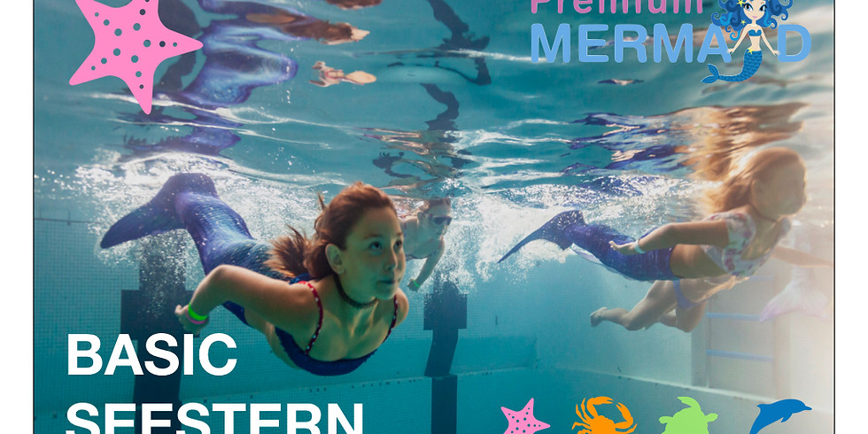 Mermaid Level 1 Seestern