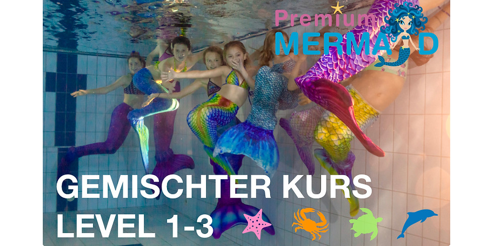 Mermaid Level 1-3 (gemischte Gruppe Flumserberg