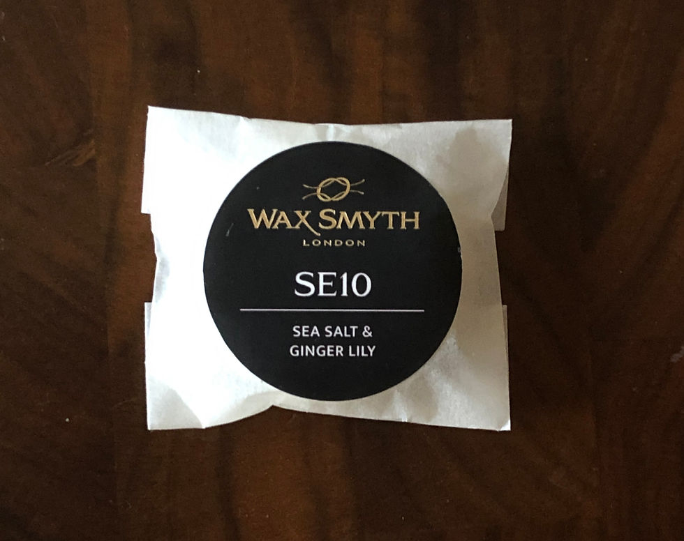 SEA SALT & GINGER Fragranced Botanical Wax Melt