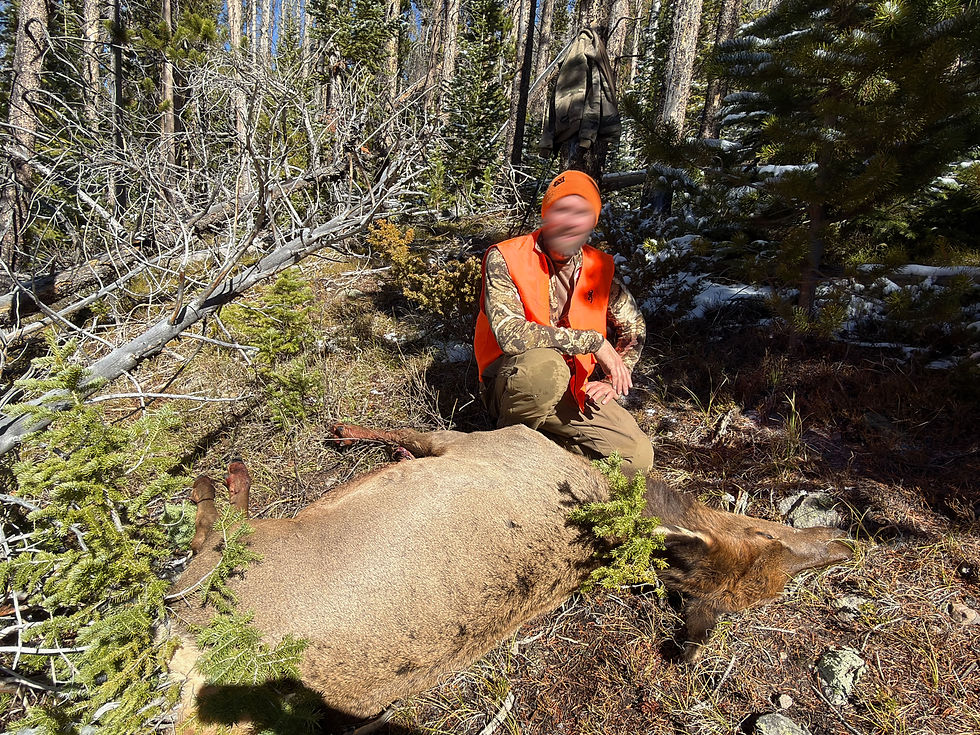 Hunter in orange vest kneeling beside an elk in a snowy forest. Trees surround them. The mood is triumphant and outdoorsy.