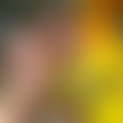 Jarrod Paul Christopher Mauldin