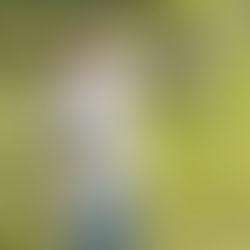 Thomas “Tommy” Carroll Atcheson, Jr