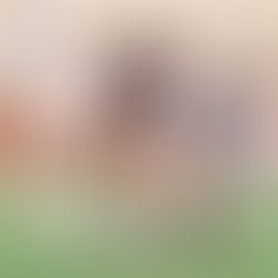 U-L  MIDDLE  SCHOOL  SOCCER