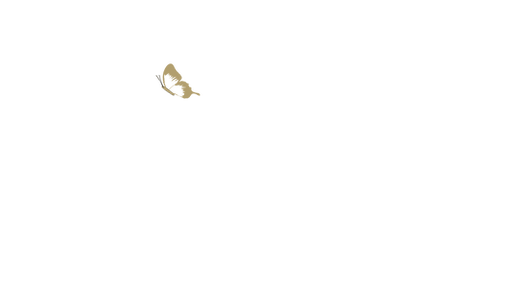 butterfly.png