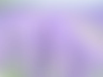 La LAVANDA, a través de la historia