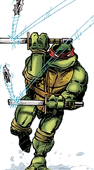 Ninja Turtle.png