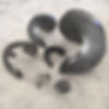 Screw Section