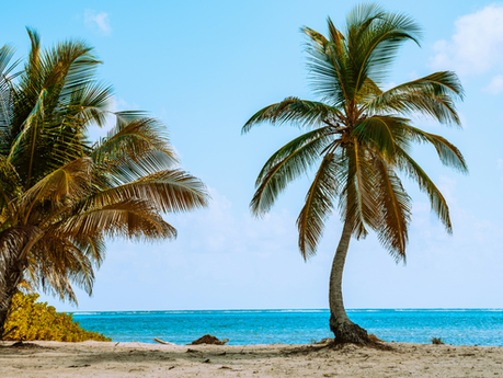 Pé na Areia ou Refúgio Verde? Entenda as Nuances de Investir na Primeira ou na Segunda Linha do Mar