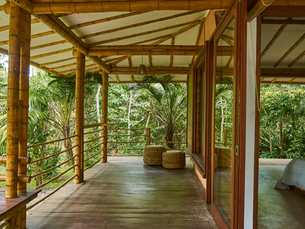 O Manifesto do Bambu: Como a Engenharia Sustentável e o Design de Autor Redefinem o Valor Imobiliário nos Arandis