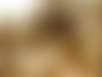 Viver onde a alma respira: o verdadeiro valor de morar perto da Natureza