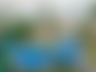 O Metro Quadrado Mais Cobiçado: "Pé na Areia" em Condomínios