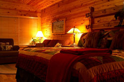 The Woodview cabin