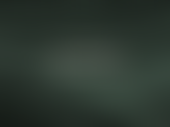 The Ameyalli Edit - Daily Rituals