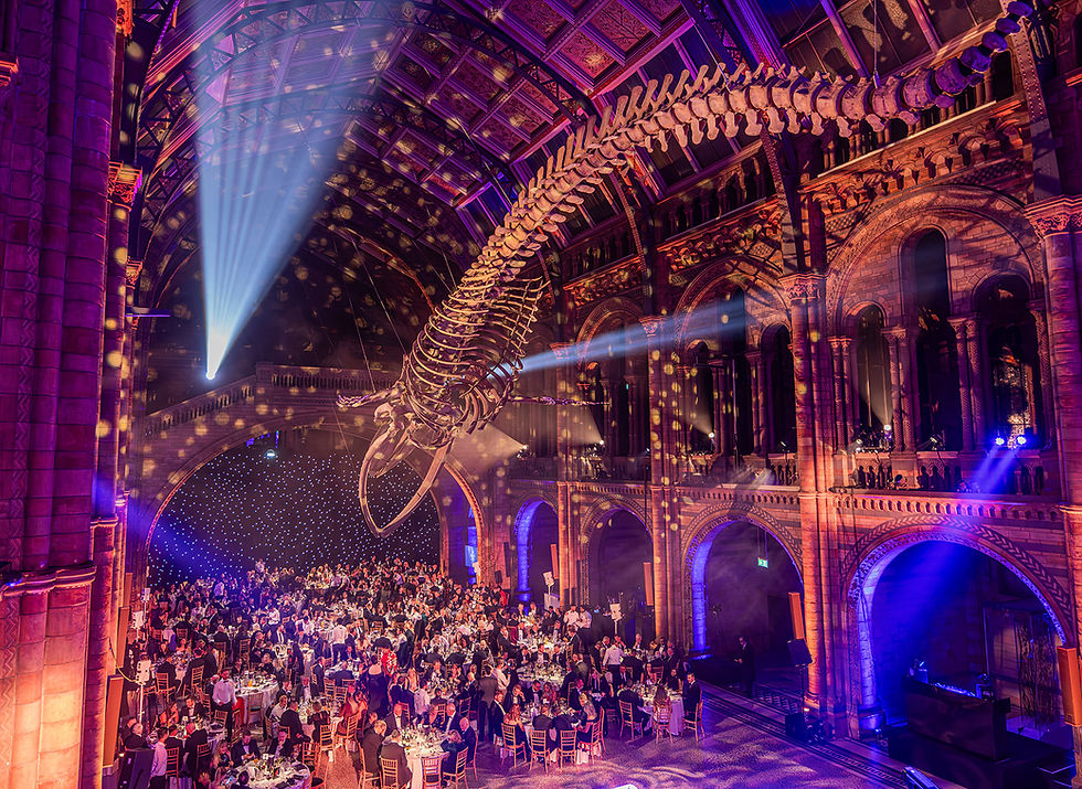 Cc25GrandGala0209_websize.jpg