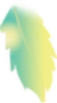 Copy of FLATLAY_P+M_0016_Layer-101.png