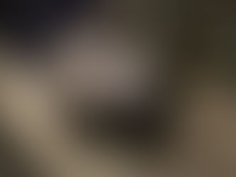 What I did today...11/3/2021