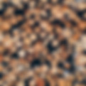 wood-gd890f0483_1920.jpg