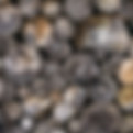 tree-g27ea52478_1920.jpg