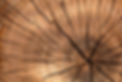 lumber-gf328ecdee_1920.jpg