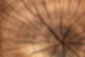 lumber-gf328ecdee_1920.jpg