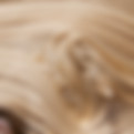 wood-g19e19a4da_1920.jpg
